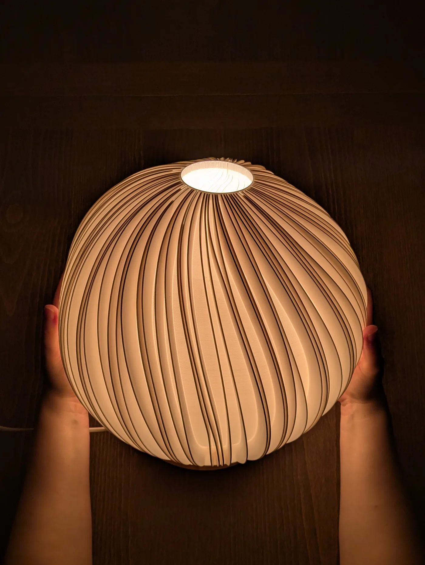Rima Stor lamp held in one hand for scale